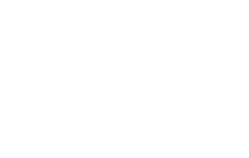 Logo Group Sud Innov blanc